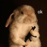 ๐'s profile picture