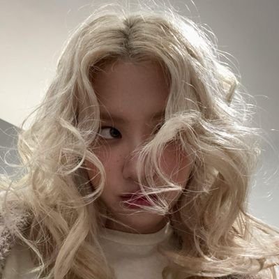 sᴛᴀʀ ɴᴏᴄᴛᴜʀɴᴇ saw Blackpink and Taylor Swift's profile picture