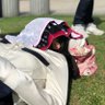 ドラ枝もん🍠 的头像