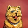 Profilbild von Broccoli Maxi