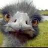 Mr. L's profile picture