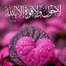 wasef salameh 的头像