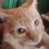 Profilbild von fred492