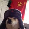CÃO COMUNISTA AGIOTA ☭'s profile picture