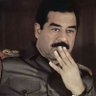 صخر القيسي's profile picture