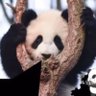 นักรีทวีต's profile picture