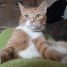 Stine's profile picture