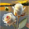Фото профиля MOHD.RAISH