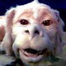 アスリスタ's profile picture