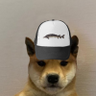 fisher's profile picture
