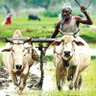 Фото профиля விவசாயி தஞ்சாவூர் மாவட்டம்