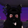 Anubis but dog's profile picture
