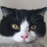 カサブランカ profil fotoğrafı