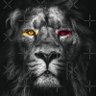 GLTSRY 🦁👑 的头像