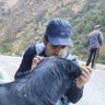Saksham's profile picture