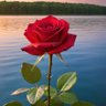 Profilbild von 💕💕🌺தங்கமயில்🌺💕💕