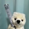 まいける🐻‍❄️🪼's profile picture