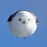 Profilbild von 気にしないの助