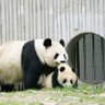 kharly 🐼🐾 profil fotoğrafı