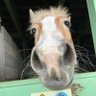 みまま's profile picture