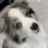 Фото профиля 子非鱼_Ryan
