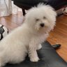 まーくん's profile picture