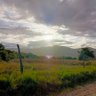 Фото профиля jose aldemar rodrigu
