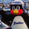 Фото профиля まいにちつばちゃん