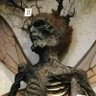 Grembus's profile picture