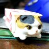 とらきばお(とらちゃん) 的头像