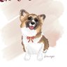 【北海道コーギー】チコちゃん🐾 profil fotoğrafı