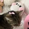 naulaafternoon's profile picture