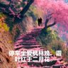 中年大叔零 profil fotoğrafı