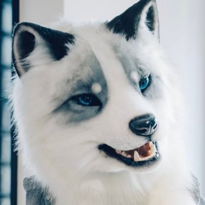 2ndNutsFox's profile picture