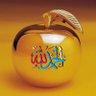 Aboalhasan2024's profile picture
