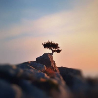 Mark View's profile picture