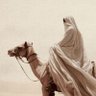 Profilbild von سَمـيرامـِيـس الدُلـيمـي⚖️