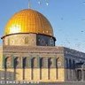 اكرم القحطاني 的头像