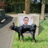 germaineberton's profile picture