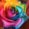 Фото профиля 青花