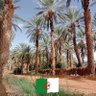🇩🇿🇩🇿Mabrouk Benablehadi 的头像