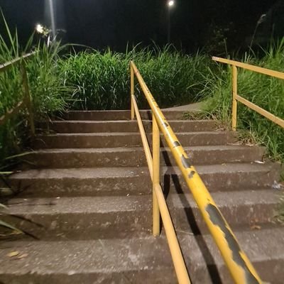 lekcruising's profile picture