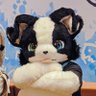 白洛→暁宝's profile picture
