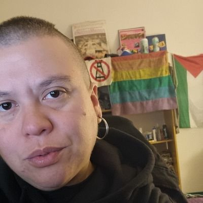 Toms Máscolo's profile picture