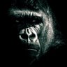 John's profile picture