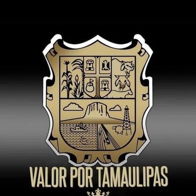 VALOR POR TAMAULIPAS's profile picture