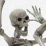selyn's profile picture