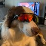 j profil fotoğrafı