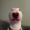 walter's profile picture