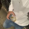 Фото профиля Boy from pa ( 6k)🐴🔥